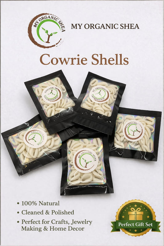 Cowrie Shells – Jewelry, Art & Decor Supplies | DIY Craft Material for Accessories & Home Design