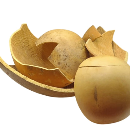Creative Starter Pack – Cracked Calabash DIY Art Kit with Cowrie Shells | African Crafts Set for Jewelry, Decor & Handmade Projects