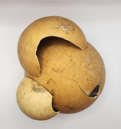 Cracked Calabash Gourd Pieces – Natural DIY Craft Material for Jewelry, Wall Art & Decor | Eco-Friendly & Handmade