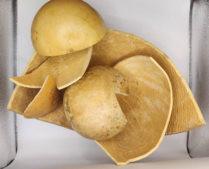 Cracked Calabash Gourd Pieces – Natural DIY Craft Material for Jewelry, Wall Art & Decor | Eco-Friendly & Handmade