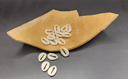 Creative Starter Pack – Cracked Calabash DIY Art Kit with Cowrie Shells | African Crafts Set for Jewelry, Decor & Handmade Projects