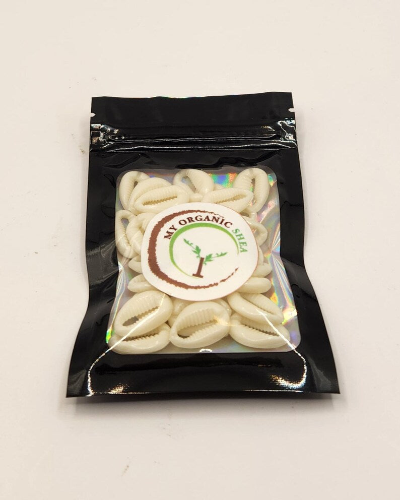 Cowrie Shells – Jewelry, Art & Decor Supplies | DIY Craft Material for Accessories & Home Design