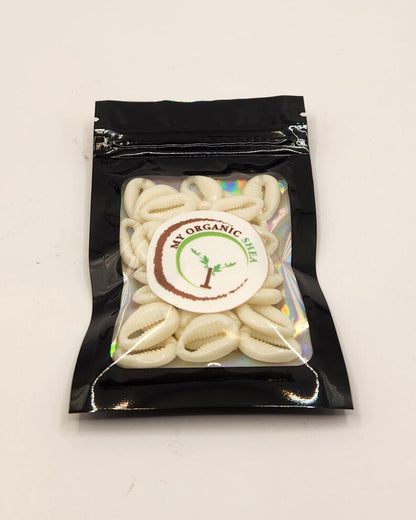 Cowrie Shells – Jewelry, Art & Decor Supplies | DIY Craft Material for Accessories & Home Design