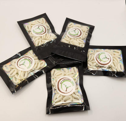 Cowrie Shells – Jewelry, Art & Decor Supplies | DIY Craft Material for Accessories & Home Design