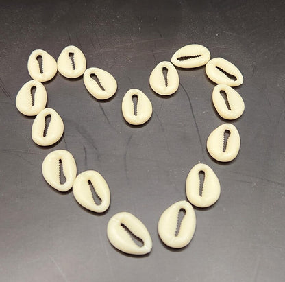 Cowrie Shells – Jewelry, Art & Decor Supplies | DIY Craft Material for Accessories & Home Design