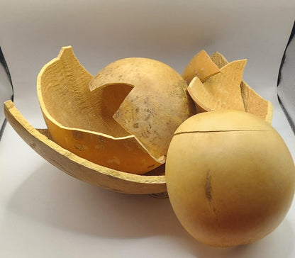 Creative Starter Pack – Cracked Calabash DIY Art Kit with Cowrie Shells | African Crafts Set for Jewelry, Decor & Handmade Projects