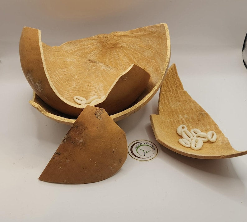 Creative Starter Pack – Cracked Calabash DIY Art Kit with Cowrie Shells | African Crafts Set for Jewelry, Decor & Handmade Projects