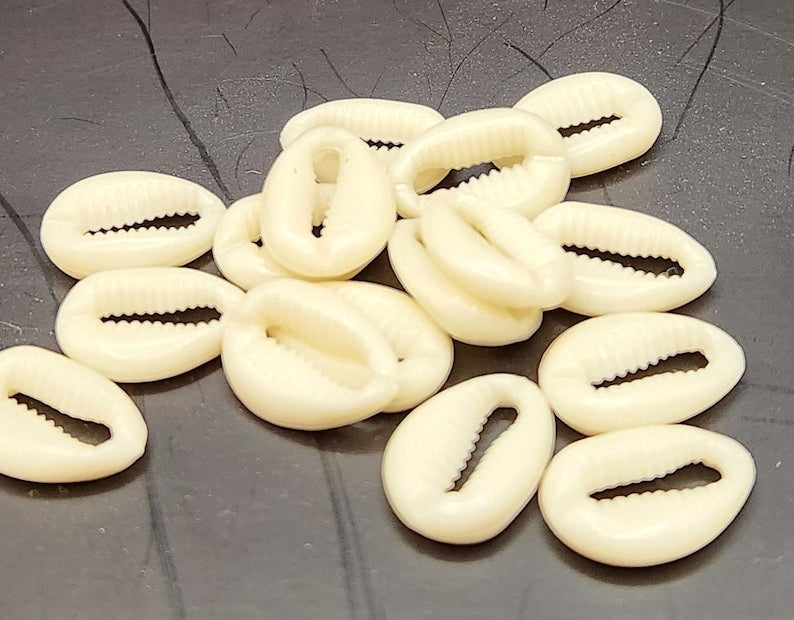 Cowrie Shells – Jewelry, Art & Decor Supplies | DIY Craft Material for Accessories & Home Design